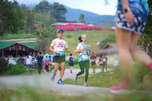 BIB: 
                            <button type="button" onclick="openModal(19213490)" class="btn btn-primary btn-sm float-right btn-popup" data-toggle="modal" data-target=".modal-high-quality">
                        <i class="fas fa-shopping-cart"></i> Add to Cart
                    </button>
                                            <button type="button" onclick="isThisMe(19213490, true)" class="btn btn-success btn-sm float-right btn-popup btn-isme hidden" data-toggle="tooltip" data-placement="bottom" title="นี่คือรูปของคุณใช่ไหม คลิกที่นี่เพื่อเอาเข้าอัลบั้ม">
                        <i class="fas fa-plus"></i> Add to album
                    </button>
                    <button type="button" onclick="isThisMe(19213490, false)" class="btn btn-warning btn-sm float-right btn-popup btn-isnotme hidden">
                        <i class="fas fa-ban"></i> Remove from album
                    </button>